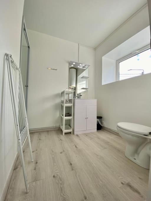 105 Studio Immeuble Perseverance Conflans-en-Jarnisy Zewnętrze zdjęcie